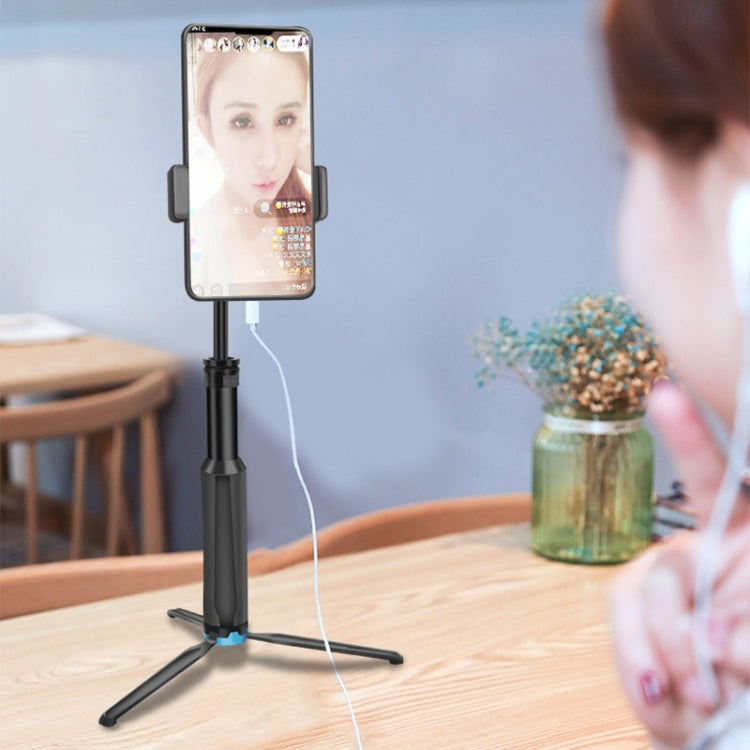 RUIGPRO One-piece Handheld Tripod Selfie Stick Telescopic Monopod Mount for GoPro, Insta360, DJI and Other Action Cameras